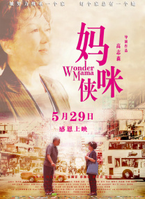 久久成人国产精品二三区